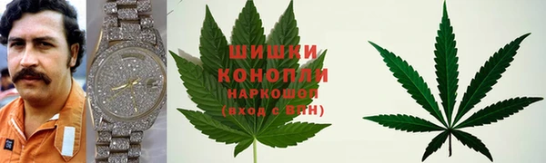 гидра Волоколамск