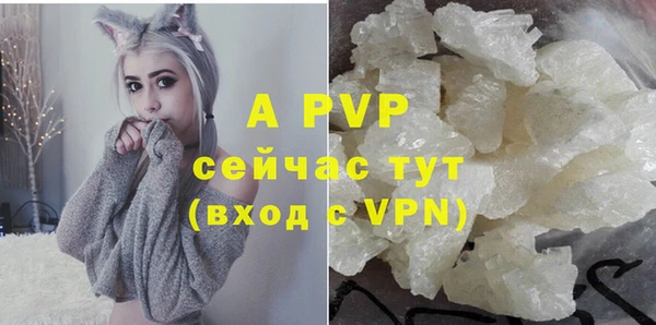 гидра Волоколамск