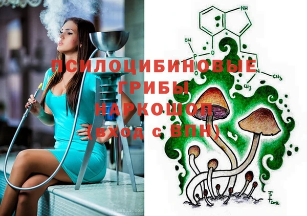 шишки Бородино